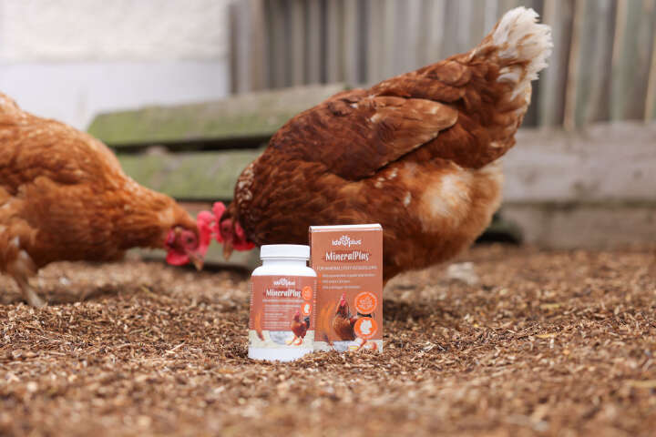 ida plus MineralPlus